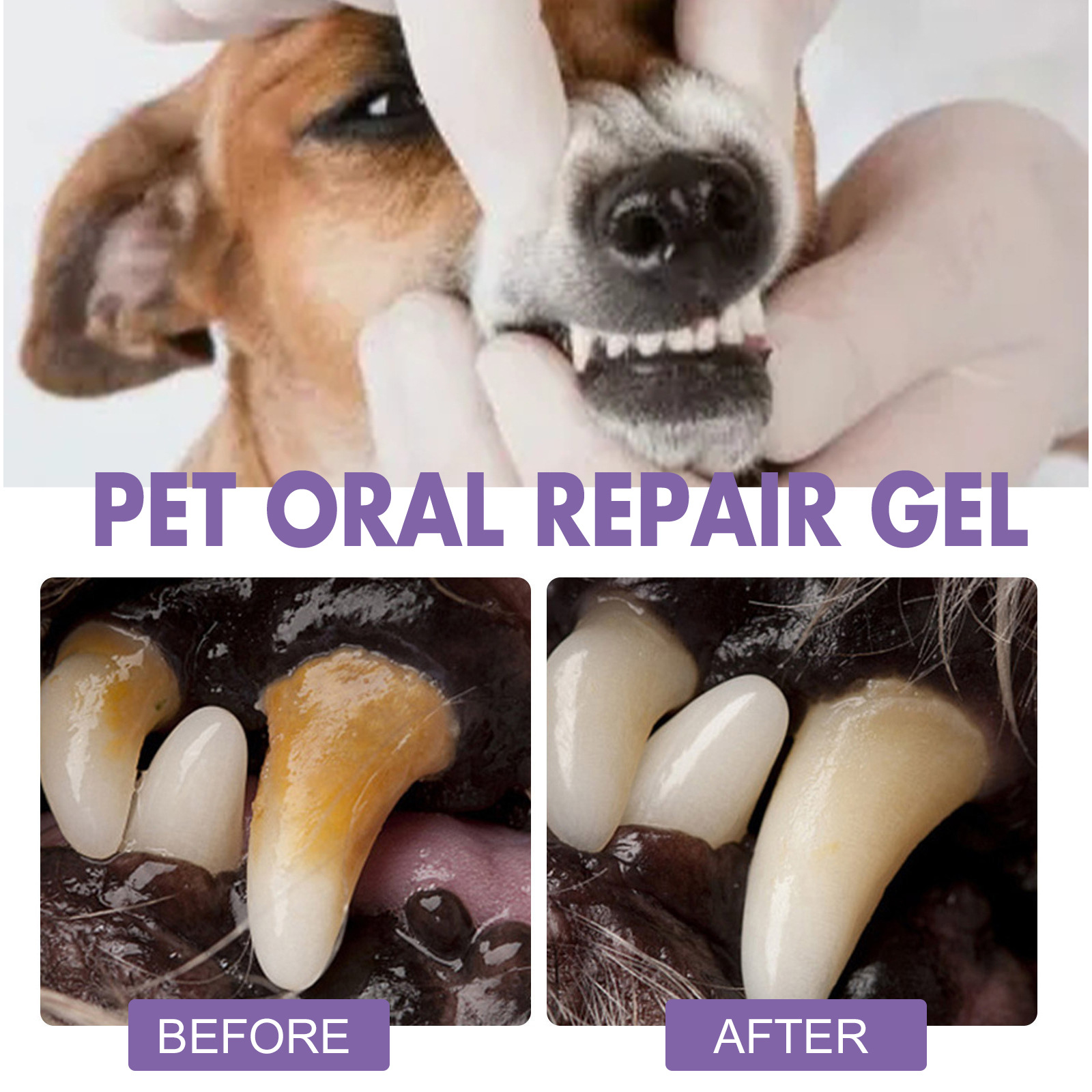 Gel de réparation orale pour a - Teeth Whitening Hismile avis et prix